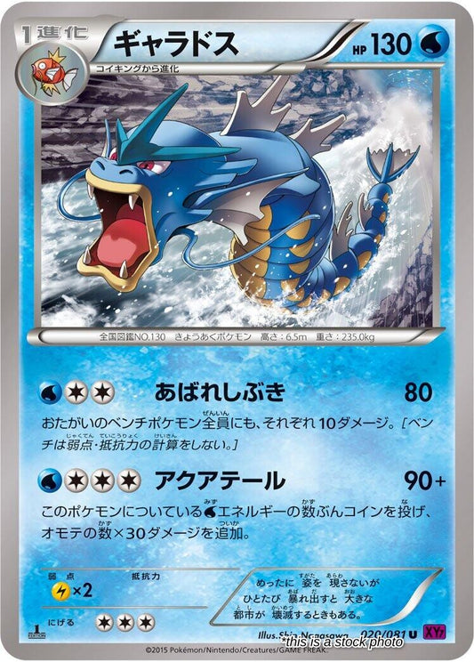 Gyarados - 020/081