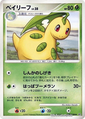 Japanese Bayleef Uncommon
