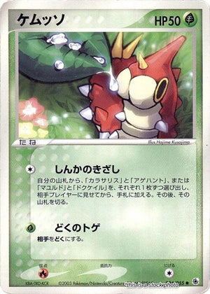Japanese 004/055 Wurmple Common