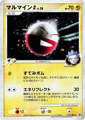 Japanese 010/DPt-P Electrode G None