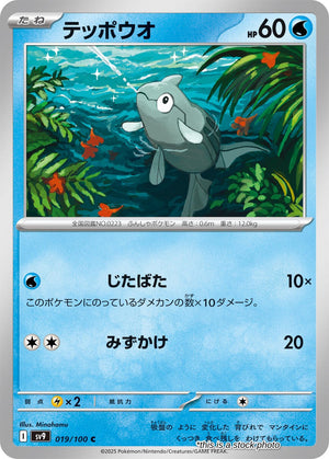 JP Normal Near Mint Remoraid [019/100]