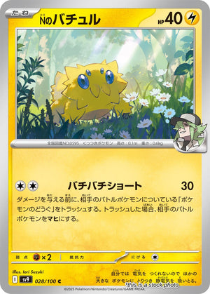 Near Mint N's Joltik [028/100] Common