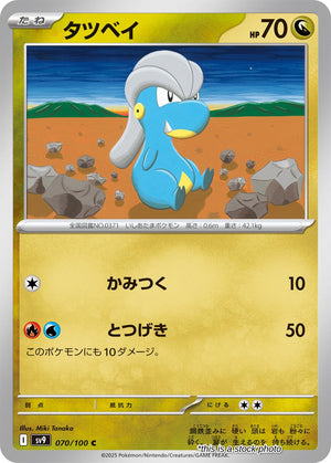 Near Mint Bagon [070/100] Common