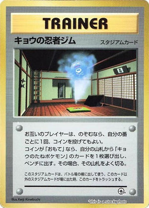 Japanese Koga's Ninja Gym None