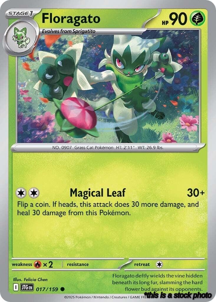 Floragato