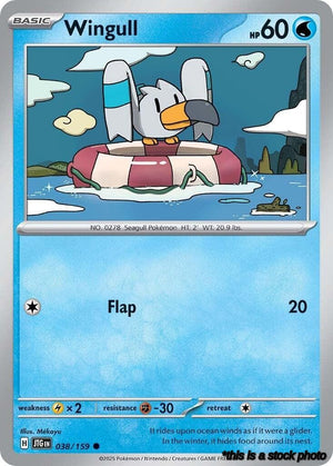 Normal Wingull [038/159 Near Mint ]