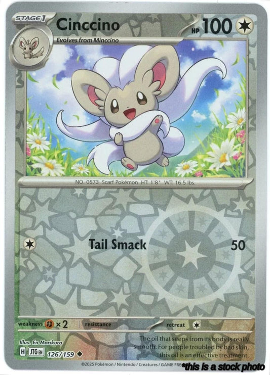 Cinccino