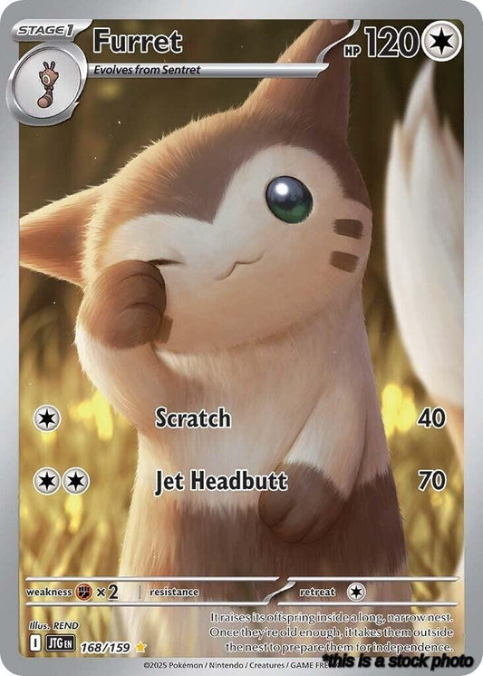 Furret - 168/159