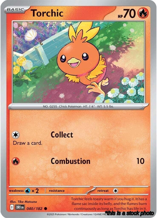 Torchic