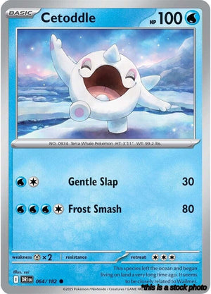 Normal Cetoddle [064/182 Near Mint ]