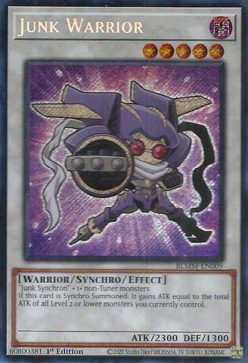Junk Warrior