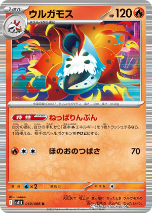 Near Mint Volcarona - 019/086 [019/086] Rare