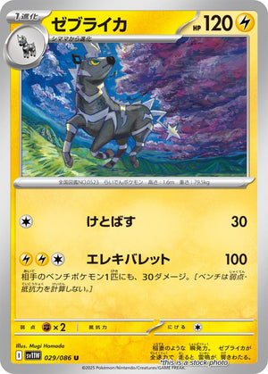 JP Normal Near Mint Zebstrika - 029/086 [029/086]