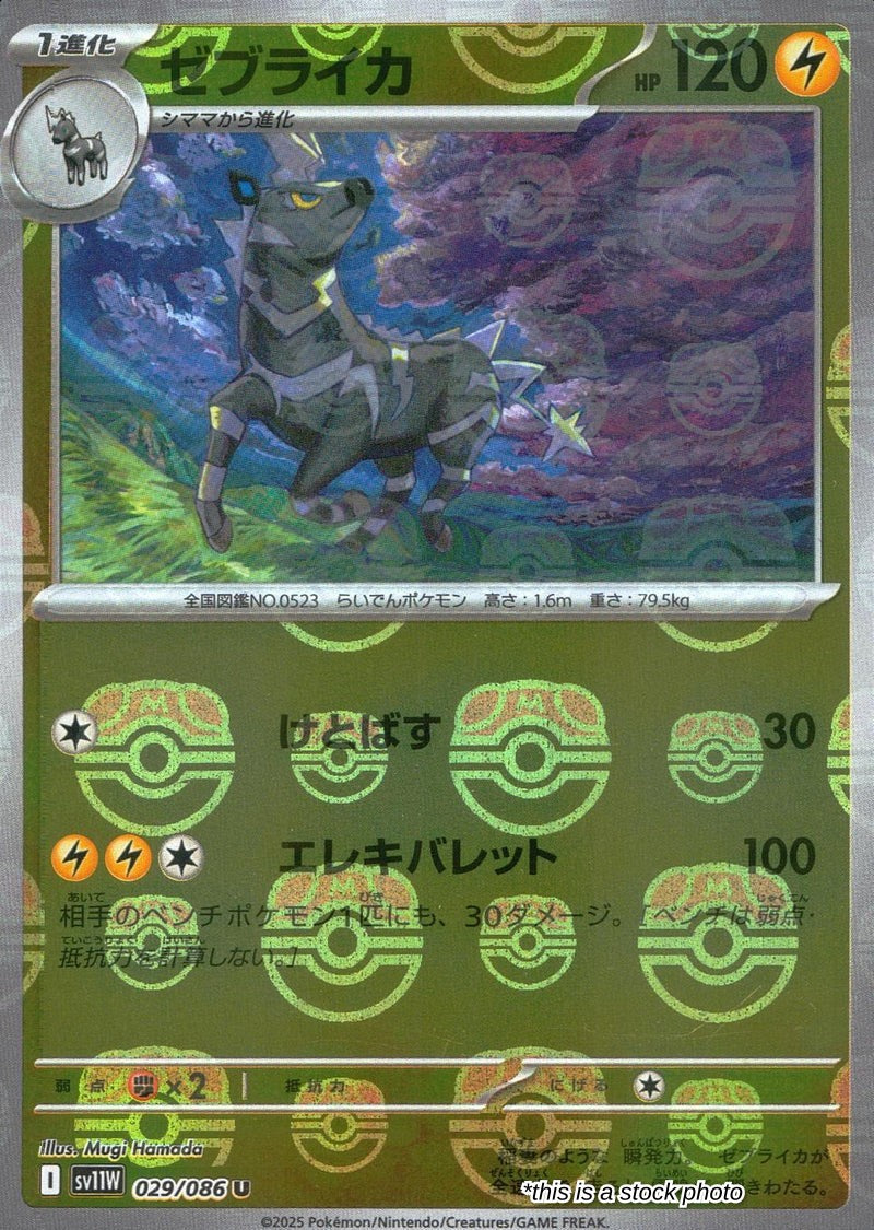Zebstrika - 029/086 (Master Ball Pattern)