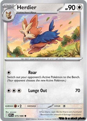 Common Herdier [075/086 Near Mint ]