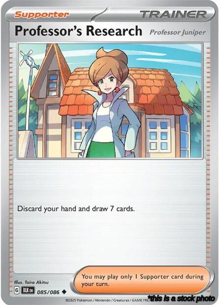 Professor's Research [Professor Juniper]