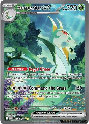 Special Illustration Rare Serperior ex - 164/086 [164/086 Near Mint ]