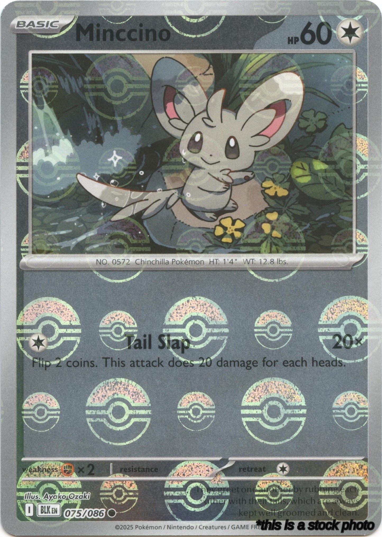Cinccino (Poke Ball Pattern)