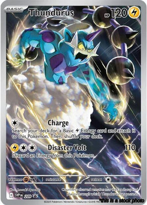 Promo Thundurus - 209 [209 Near Mint ]