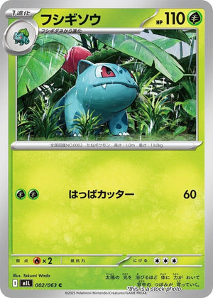 JP Near Mint Ivysaur - 002/063 [002/063] Common