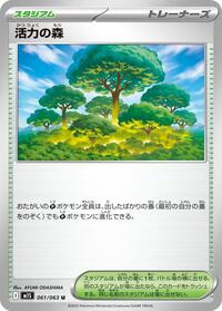 Descriptive image text
