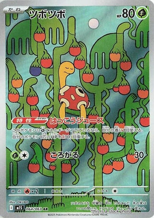 Near Mint Shuckle - 064/063 [064/063] Art Rare