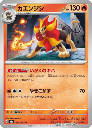 JP Normal Near Mint Pyroar [011/063]