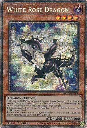 1st Edition White Rose Dragon [MP25-EN038 Lightly Played] Starlight Rare