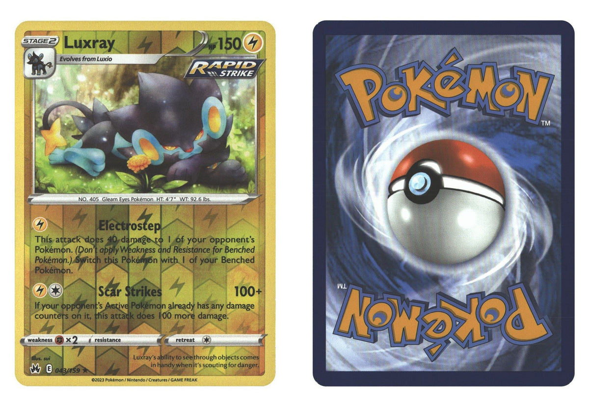 Front + Back scan