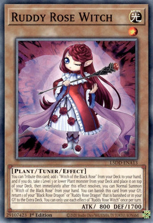 1st Edition Ruddy Rose Witch [L5DD-ENA13 Near Mint] Common / Short Print