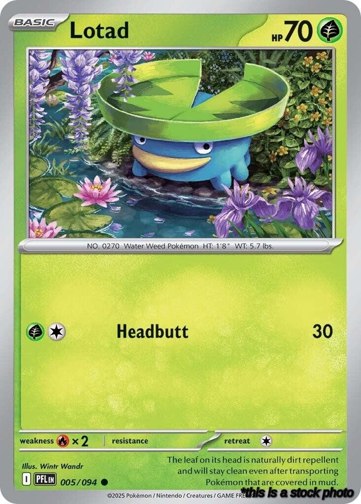 Lotad