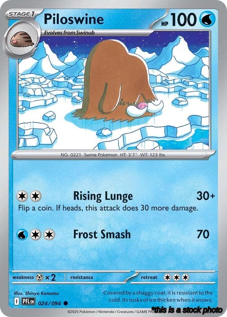 Common Piloswine [024/094 Near Mint ]