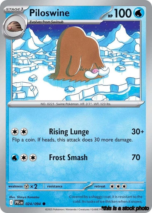 Common Piloswine [024/094 Near Mint ]