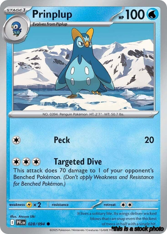 Common Prinplup [028/094 Near Mint ]