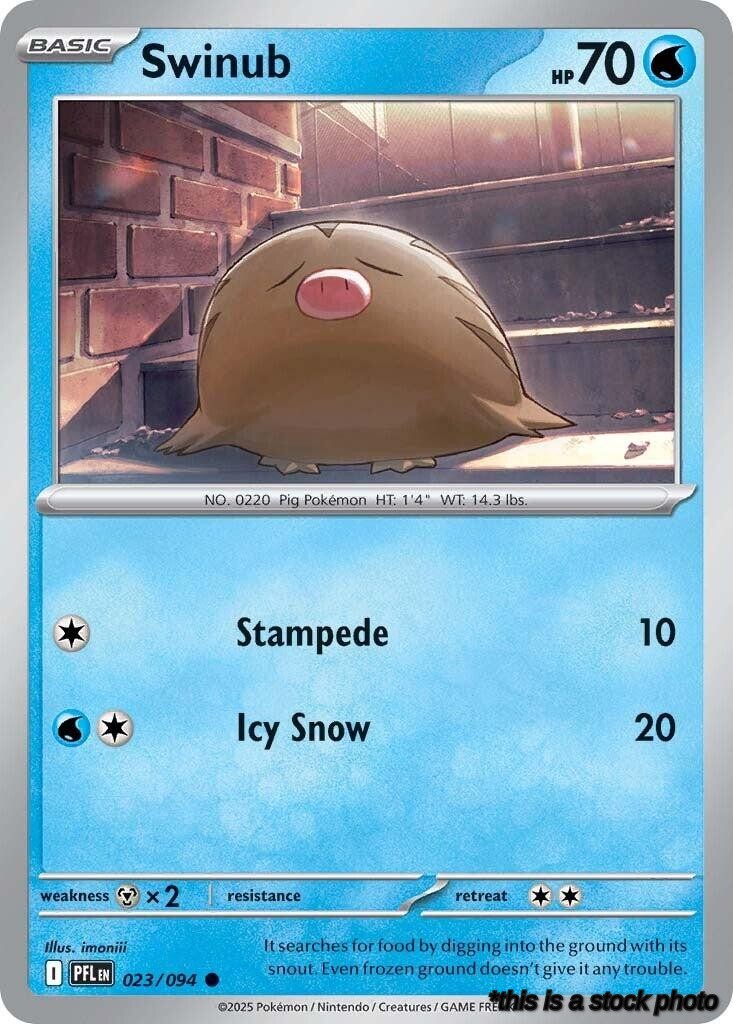 Normal Swinub [023/094 Near Mint ]