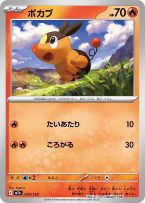 Near Mint Tepig [024/193]