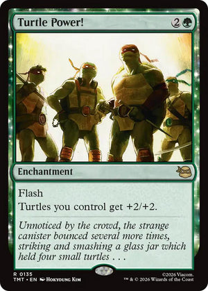 Turtle Power! [TMT - 135]