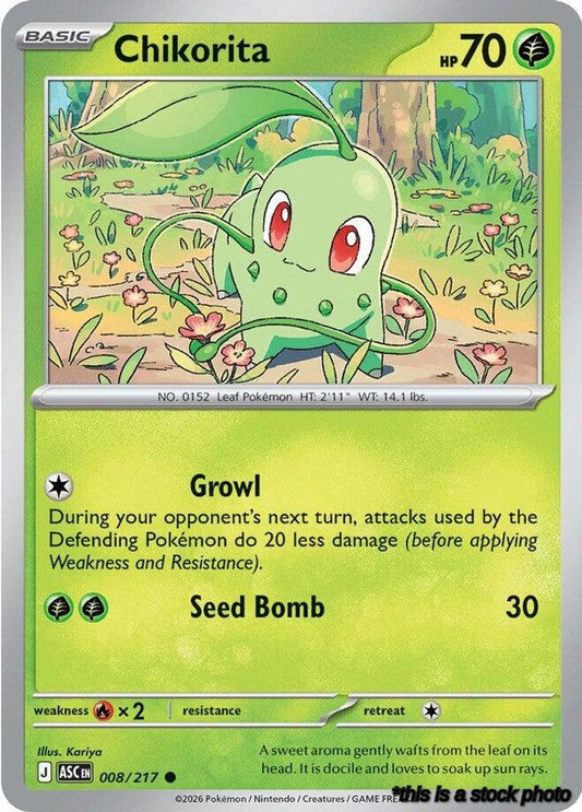 Chikorita