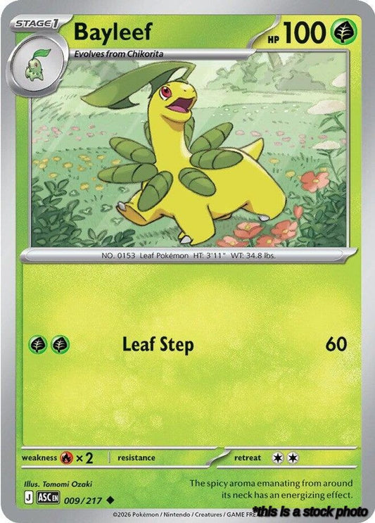 Bayleef