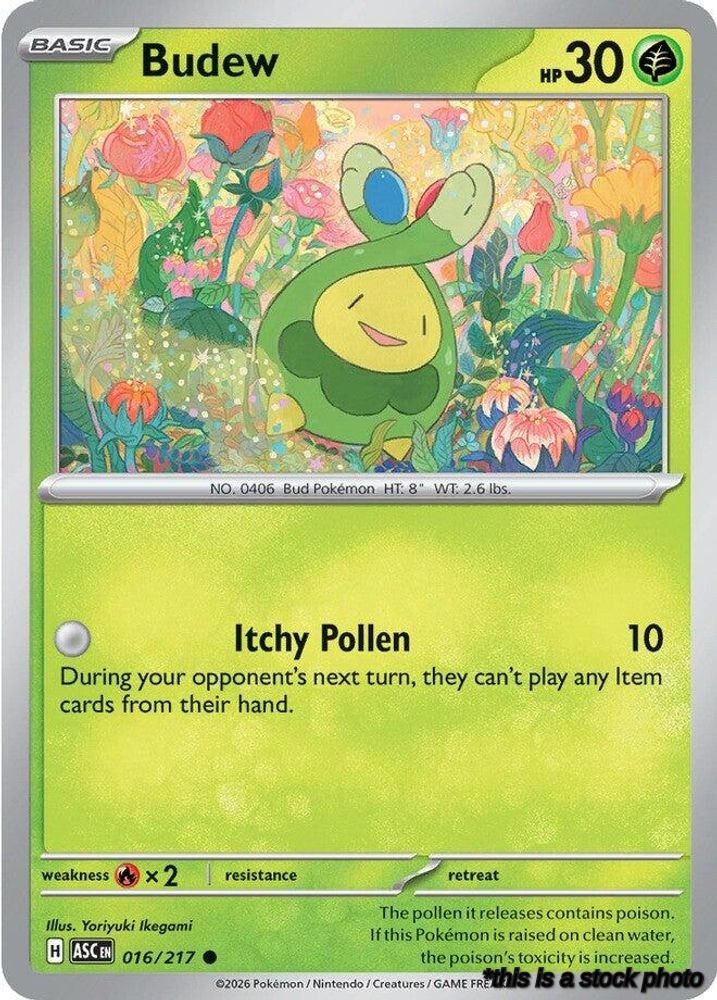 Budew - 016/217