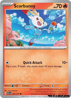 Common Scorbunny - 036/217 [036/217 Near Mint ]