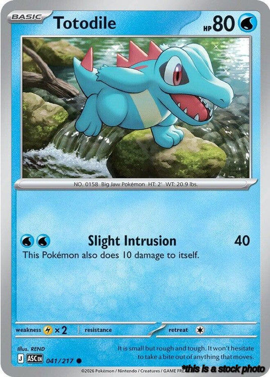 Common Totodile [041/217 Near Mint ]