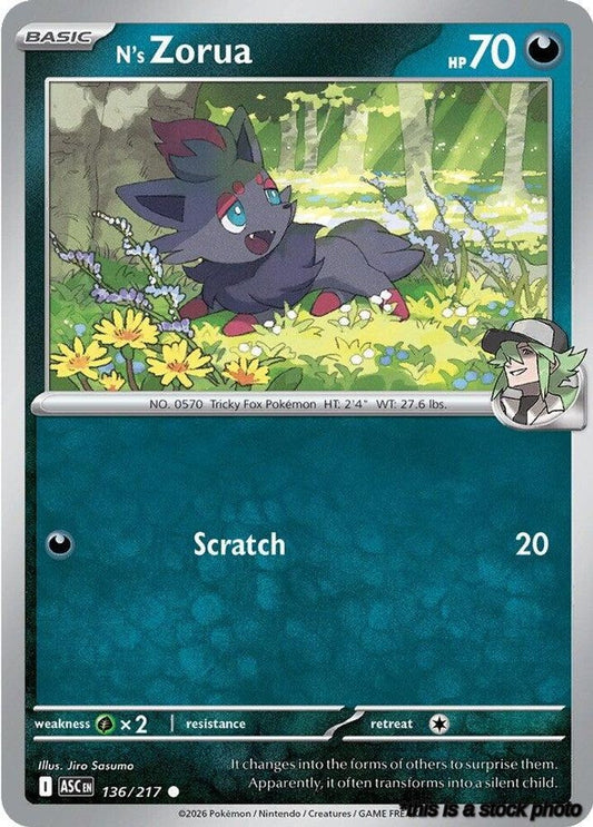 N's Zorua