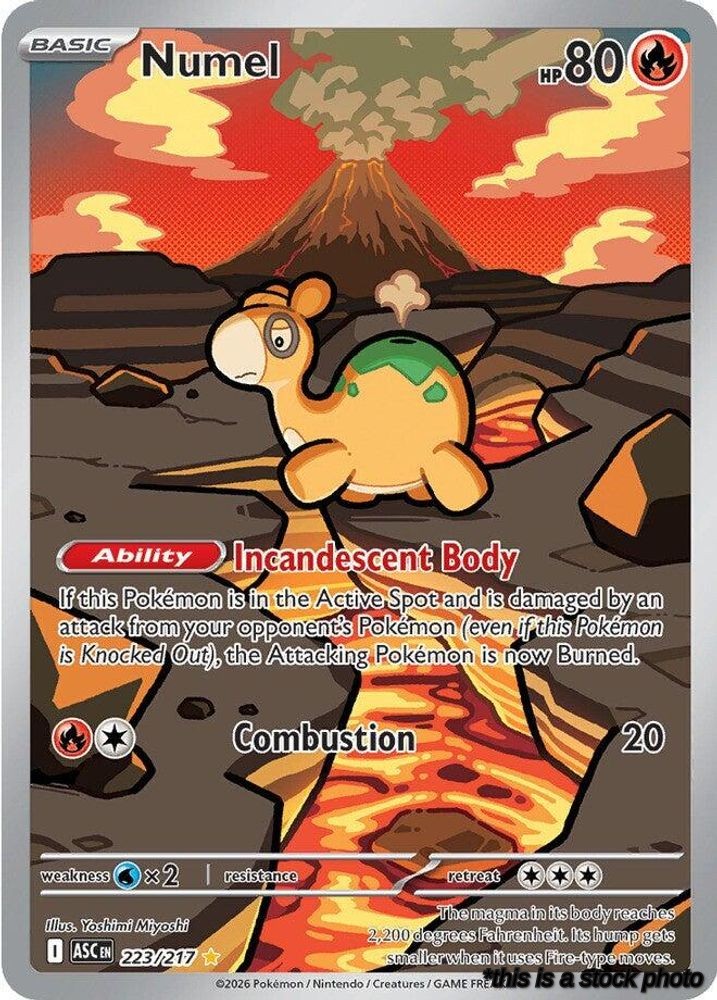 Numel - 223/217