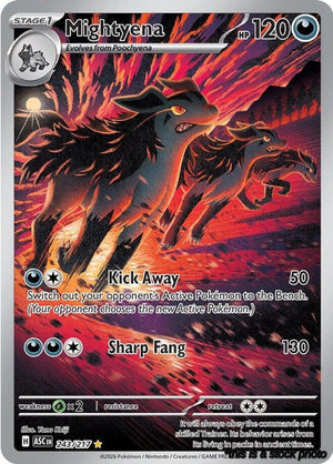 243/ASC Mightyena Illustration Rare Holofoil