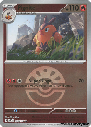 Reverse Holofoil Pignite (Friend Ball) [030/217 Near Mint ]