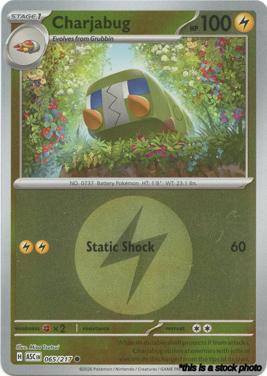 Charjabug (Energy Symbol Pattern)