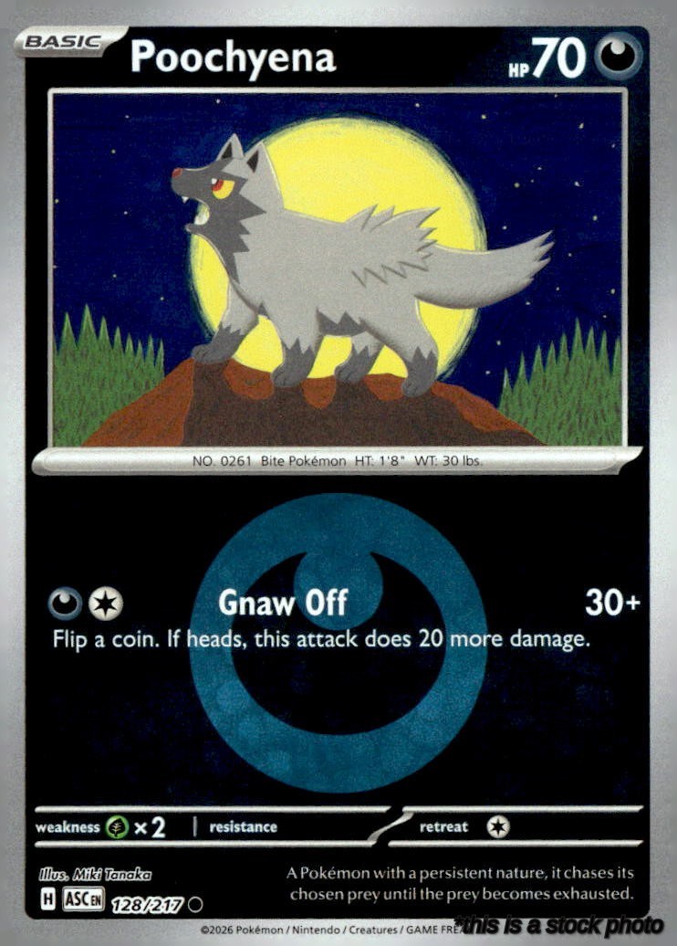 Poochyena (Energy Symbol Pattern)