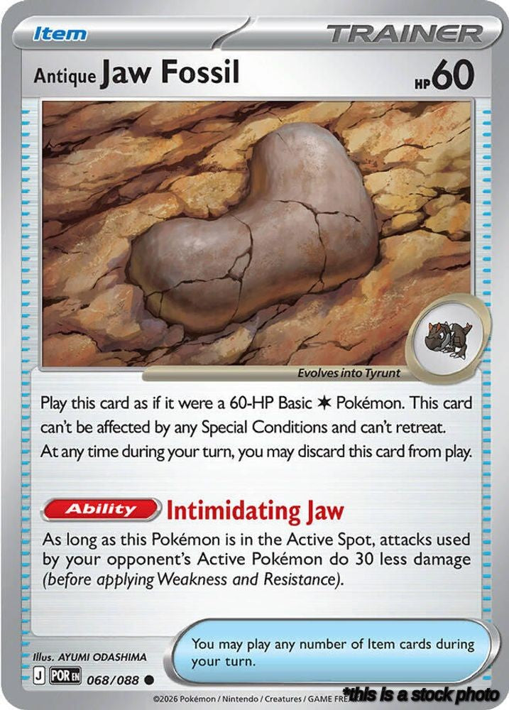 Normal Antique Jaw Fossil [068/088 Near Mint ]