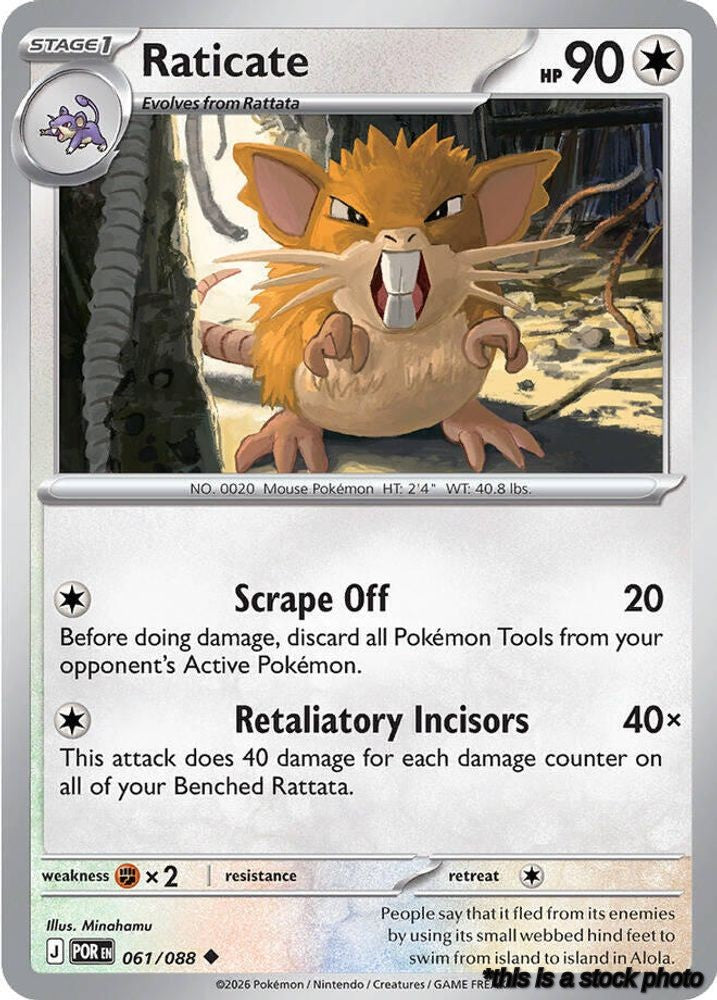 Raticate - 061/088